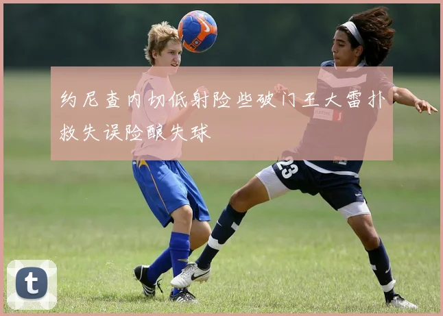 约尼查内切低射险些破门王大雷扑救失误险酿失球