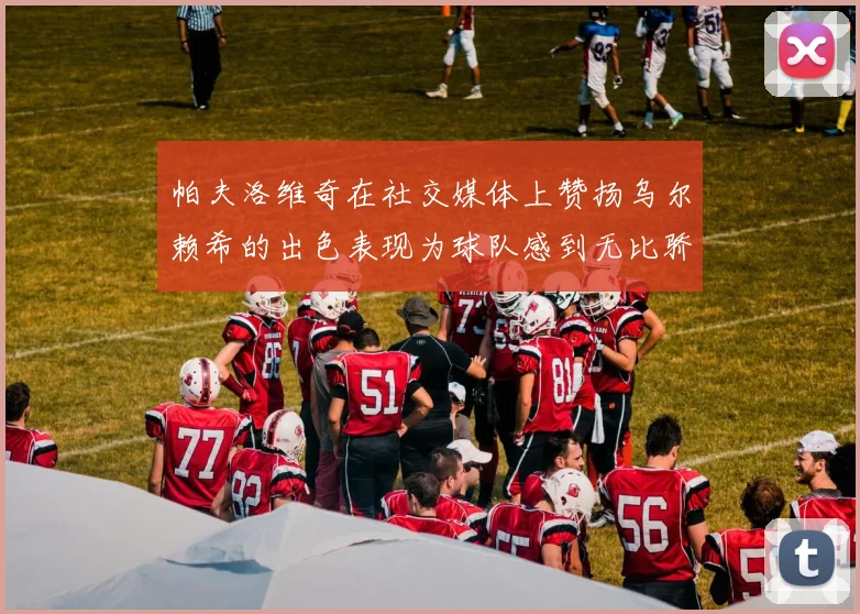 帕夫洛维奇在社交媒体上赞扬乌尔赖希的出色表现为球队感到无比骄傲